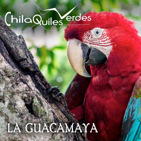 La guacamaya | Boomplay Music