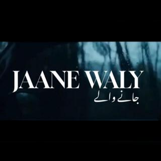 Fahad (Jaane waly)