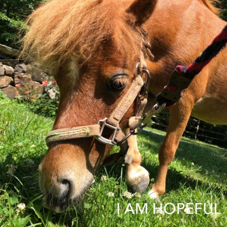 I Am Hopeful | Boomplay Music