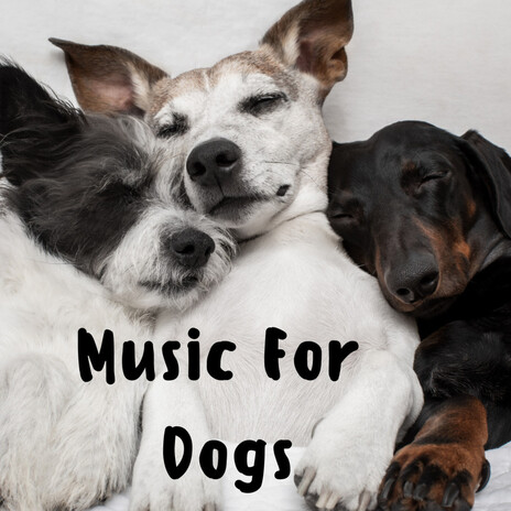 Pampered Paws ft. Music For Dogs Peace, Relaxing Puppy Music & Calm Pets Music Academy | Boomplay Music