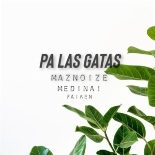 Maznoize Medina! & Faiken-Pa Las Gatas (feat. Faiken)