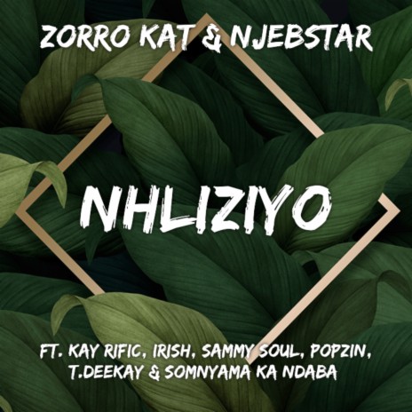 Nhliziyo ft. Njebstar, Somnyama Ka Ndaba, Kay Rific, T.Deekay & Popzin | Boomplay Music