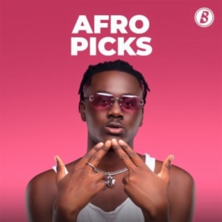Afro Picks