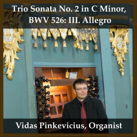 Trio Sonata No. 2 in C Minor, BWV 526: III. Allegro | Boomplay Music