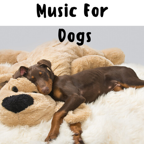 Relaxed and Calm ft. Music For Dogs Peace, Relaxing Puppy Music & Calm Pets Music Academy | Boomplay Music