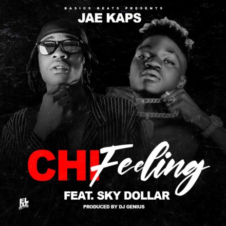 CHI FEELING ft. SKY DOLLAR | Boomplay Music