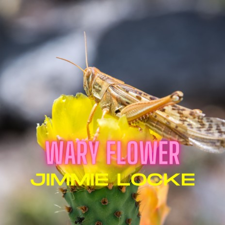 Wary Flower | Boomplay Music