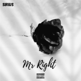 Mr Right lyrics | Boomplay Music