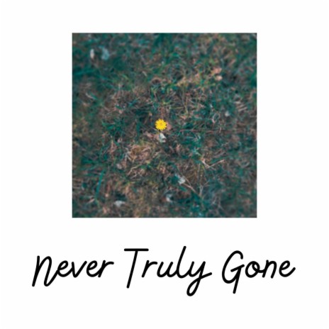 Never Truly Gone | Boomplay Music