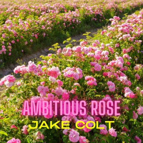 Ambitious Rose