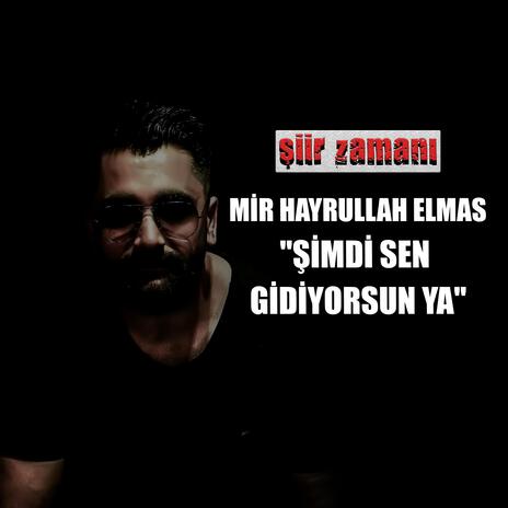 Şimdi Sen Gidiyorsun Ya | Boomplay Music