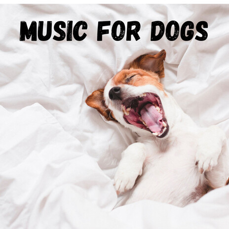 Relaxing Instrumentals ft. Music For Dogs Peace, Relaxing Puppy Music & Calm Pets Music Academy | Boomplay Music