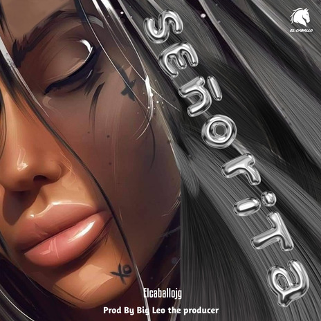 Señorita | Boomplay Music