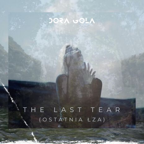 The Last Tear (Ostatnia Łza) | Boomplay Music
