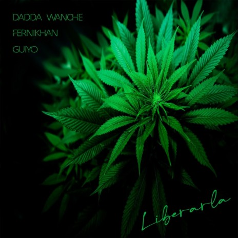 Liberarla ft. Guiyo & Dadda Wanche | Boomplay Music