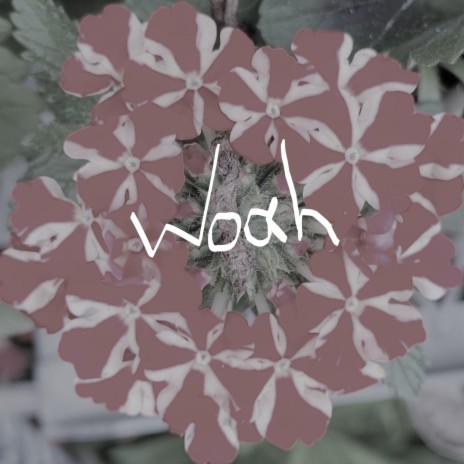 Woah (Remix) ft. LiamMadeAHit | Boomplay Music