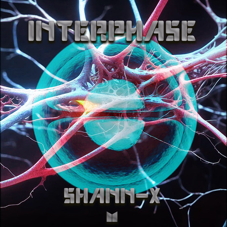 Interphase