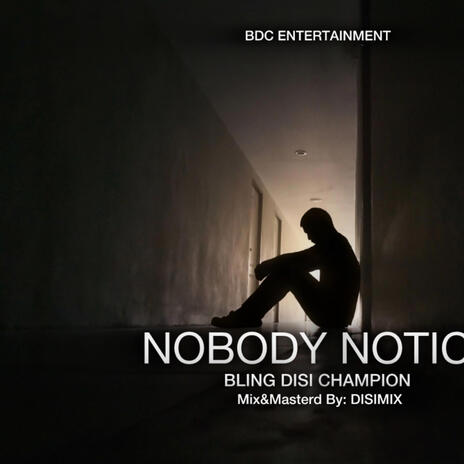 NOBODY NOTICE | Boomplay Music