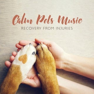 Calm Pets Music: Recovery from Injuries, Relax and Deep Sleeping for Dogs and Cats, StopPets Anxiety, Veterinary Clinic Music