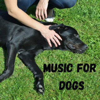 Music For Dogs