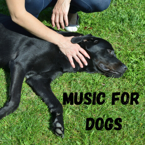 Sleeping Music For Dogs ft. Music For Dogs Peace, Relaxing Puppy Music & Calm Pets Music Academy | Boomplay Music