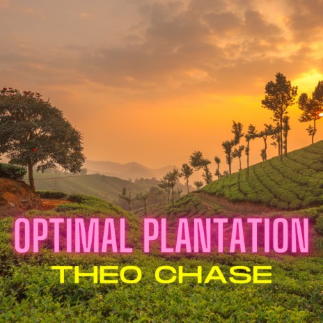 Optimal Plantation | Boomplay Music
