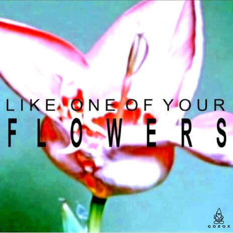 LIKE ONE OF YOUR FLOWERS | Boomplay Music