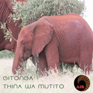 Gitonga