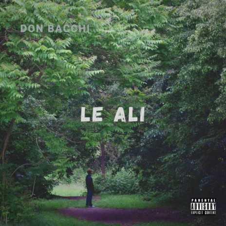 Le Ali | Boomplay Music