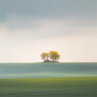 La Naturaleza Del Sueño