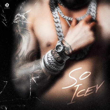 SO ICEY | Boomplay Music