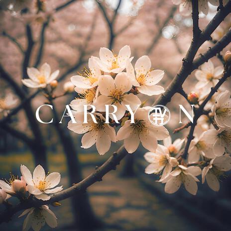 Carry On | Boomplay Music