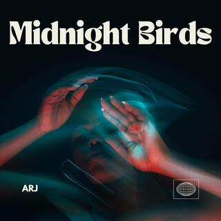 midnight birds