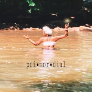 primordial - (EP)