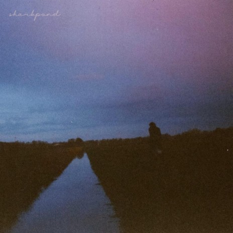 sharkpond | Boomplay Music