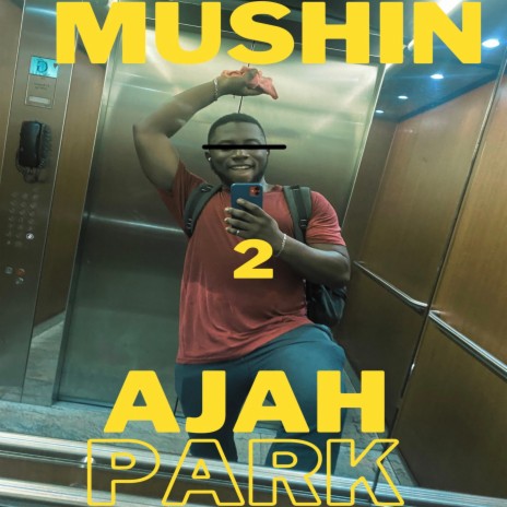 Mushin 2 Ajah Park