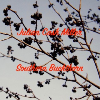 Southern Buckthorn