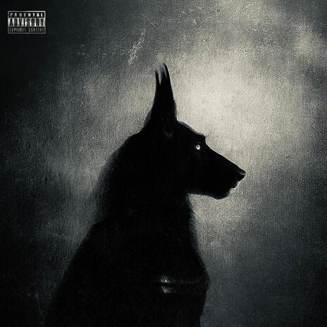 Anubis | Boomplay Music