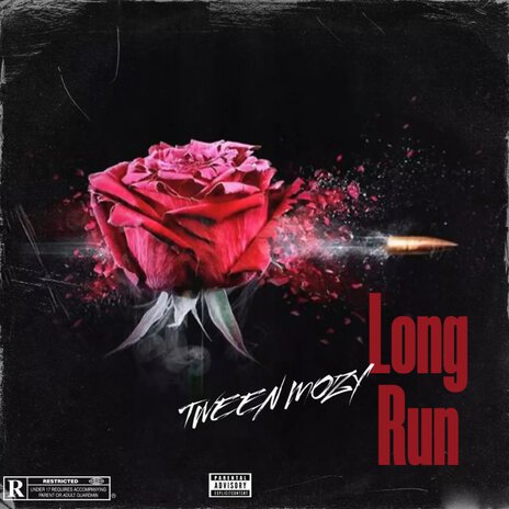 Long Run | Boomplay Music