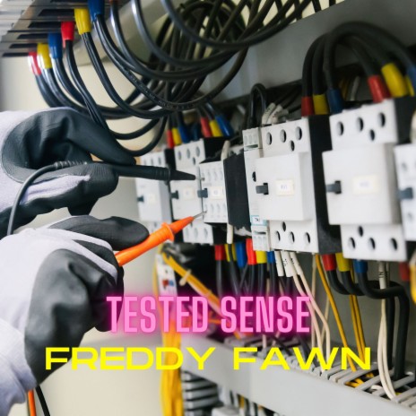 Tested Sense | Boomplay Music