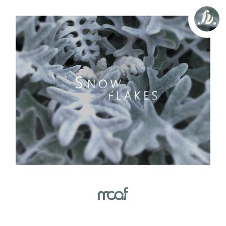 Snowflakes | Boomplay Music