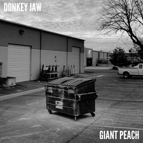 Giant Peach | Boomplay Music