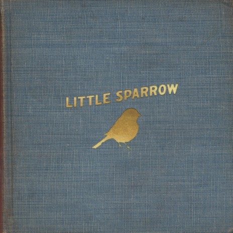 Little Sparrow | Boomplay Music