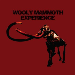 Wooly Mammoth Experience