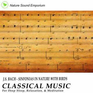 J.S. Bach - Sinfonias With Birds