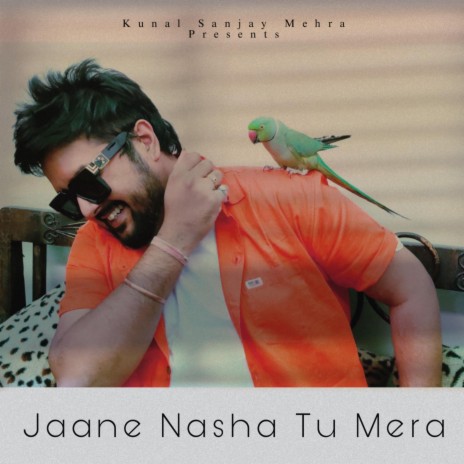 Jaane Nasha Tu Mera | Boomplay Music