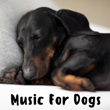 Tail-Wagging Tracks ft. Music For Dogs Peace, Relaxing Puppy Music & Calm Pets Music Academy | Boomplay Music