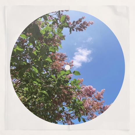 Lilac | Boomplay Music