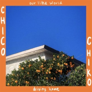 Chico Chiko