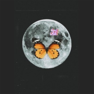 Mariposa Solitaria (feat. Abi INF3LI$3$ & Hayku)